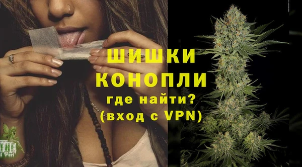 гидра Ладушкин