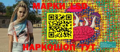 шишки Будённовск