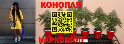 гашик Изобильный