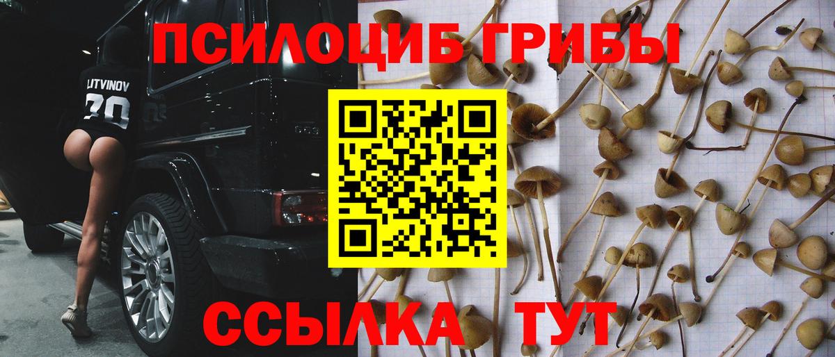 Галлюциногенные грибы GOLDEN TEACHER  Пермь  Псилоцибиновые грибы мухоморы 