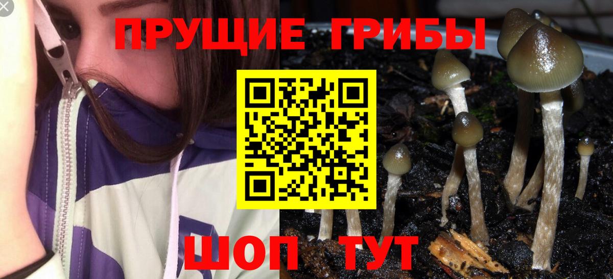 Галлюциногенные грибы мицелий  Галлюциногенные грибы MAGIC MUSHROOMS  Вход с VPN  Пермь 
